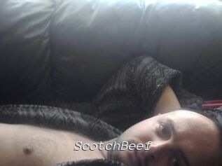 ScotchBeef