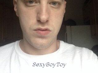 SexyBoyToy