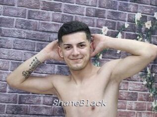ShaneBlack