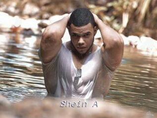 Shein_A