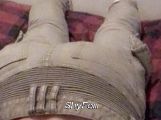 ShyFem