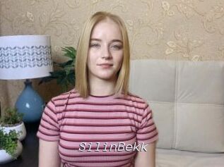 SilinBekk