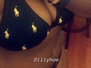 Sillyhoe