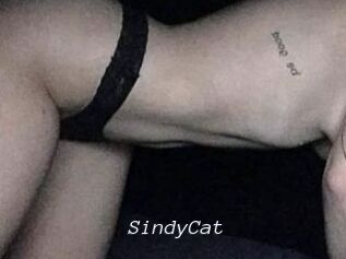 SindyCat
