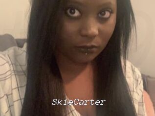 SkieCarter Tel 69 Salopes