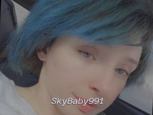 SkyBaby991