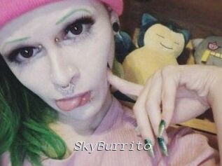 SkyBurrito