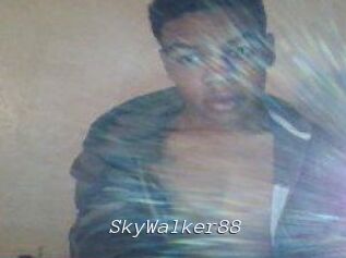 SkyWalker88