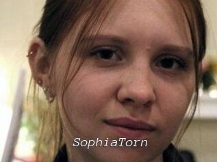 SophiaTorn