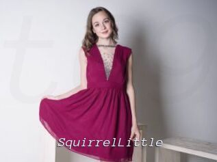 SquirrelLittle