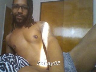 Stray85