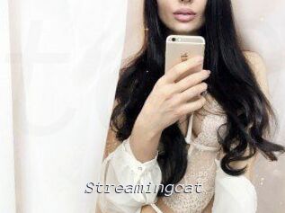 Streamingcat