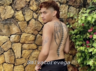 Salvatorevega