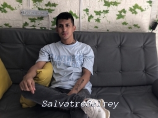 Salvatredelrey