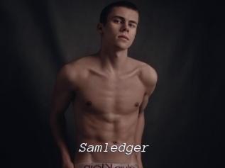 Samledger