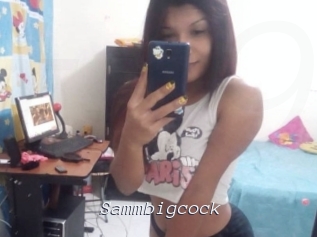 Sammbigcock