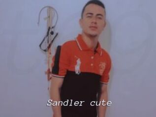 Sandler_cute