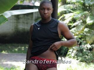 Sandrofernandes