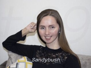 Sandybush