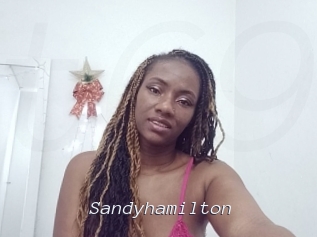 sandyhamilton Tel 69 Salopes