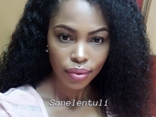 Sanelentuli