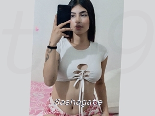 Sashagate