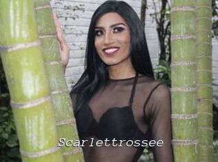 Scarlettrossee