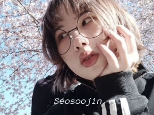 Seosoojin
