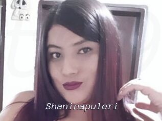 Shaninapuleri
