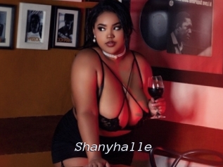 Shanyhalle