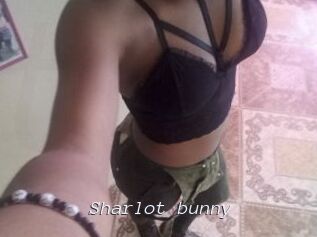 Sharlot_bunny