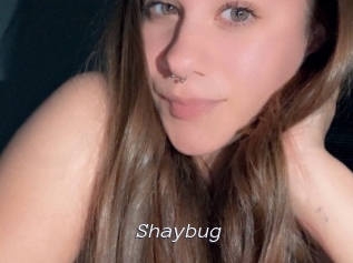 Shaybug