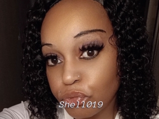 Shell019