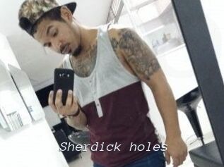 Sherdick_holes