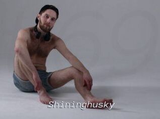 Shininghusky