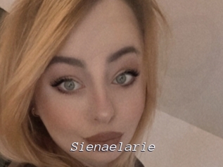 Sienaelarie