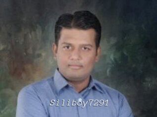 Siliboy7291