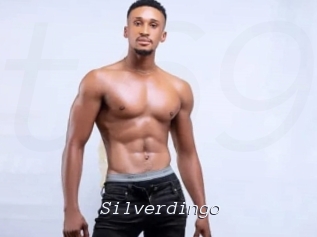 silverdingo Tel 69 Salopes