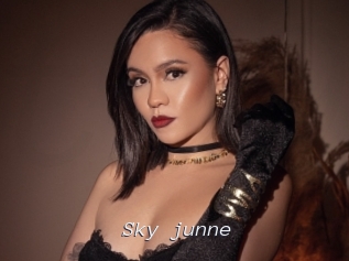 Sky_junne