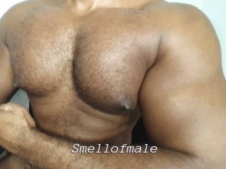 Smellofmale