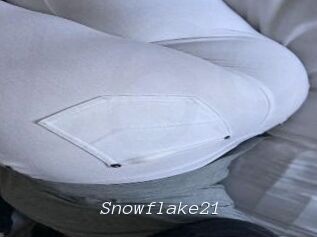 Snowflake21