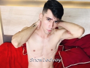 snowledvoy Tel 69 Salopes