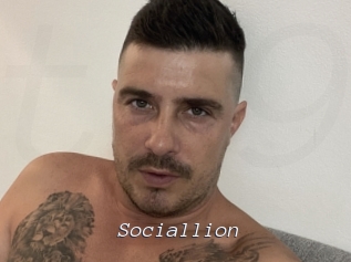 Sociallion