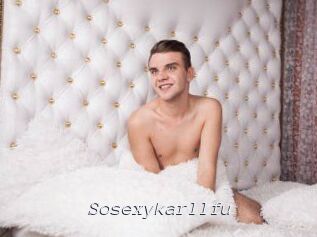 Sosexykarllfu