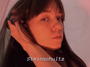 Steinschultz