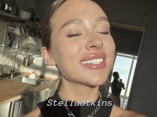 Stellaatkins