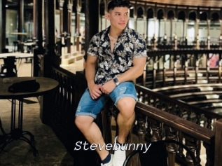 Stevebunny