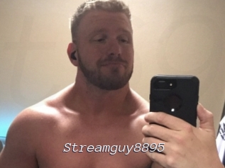 Streamguy8895