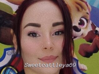 Sweetcattleya69