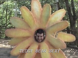 TEDDY_BEAR_SEXY